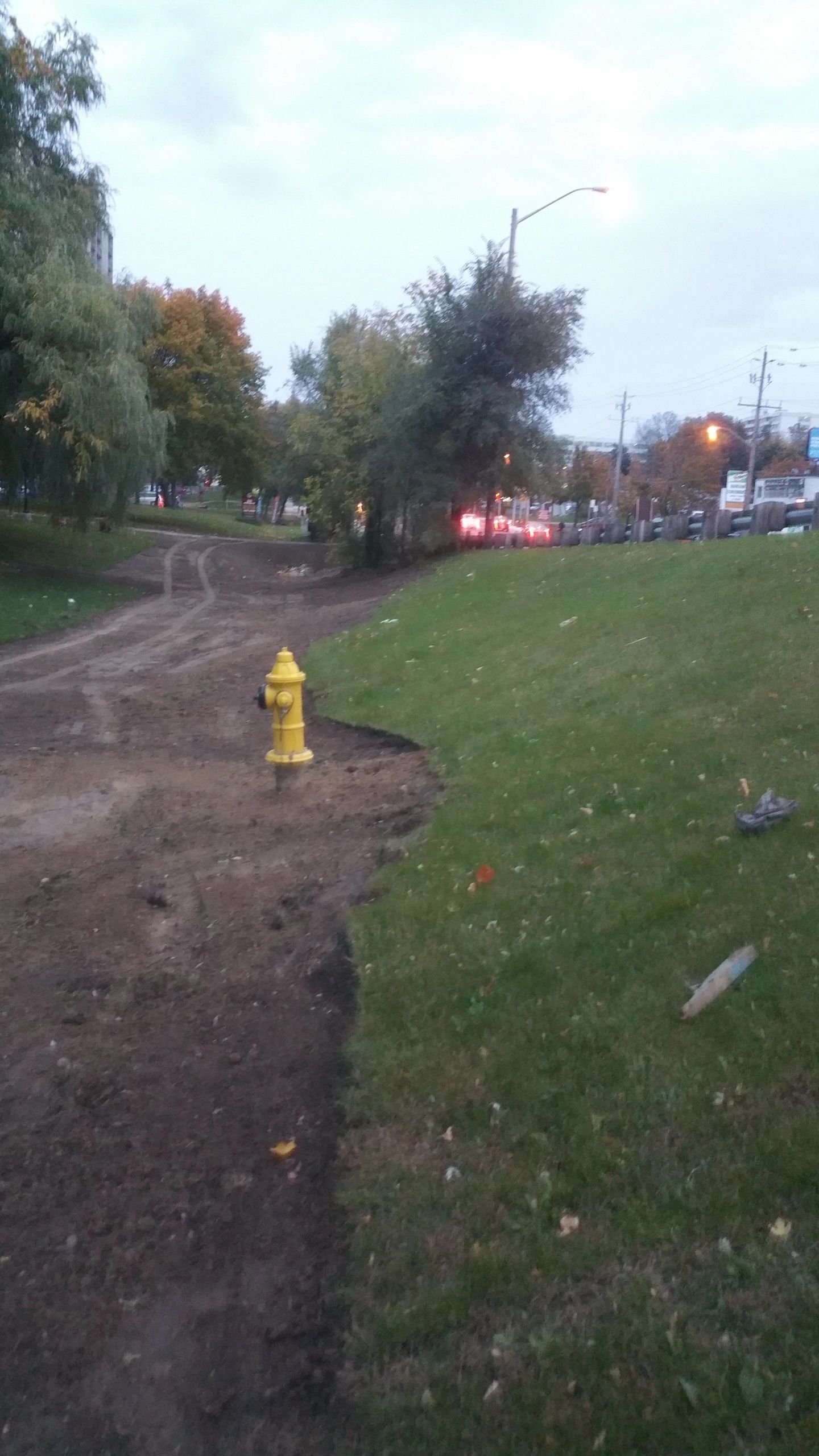 Urban park with fire hydrant and landscaping
