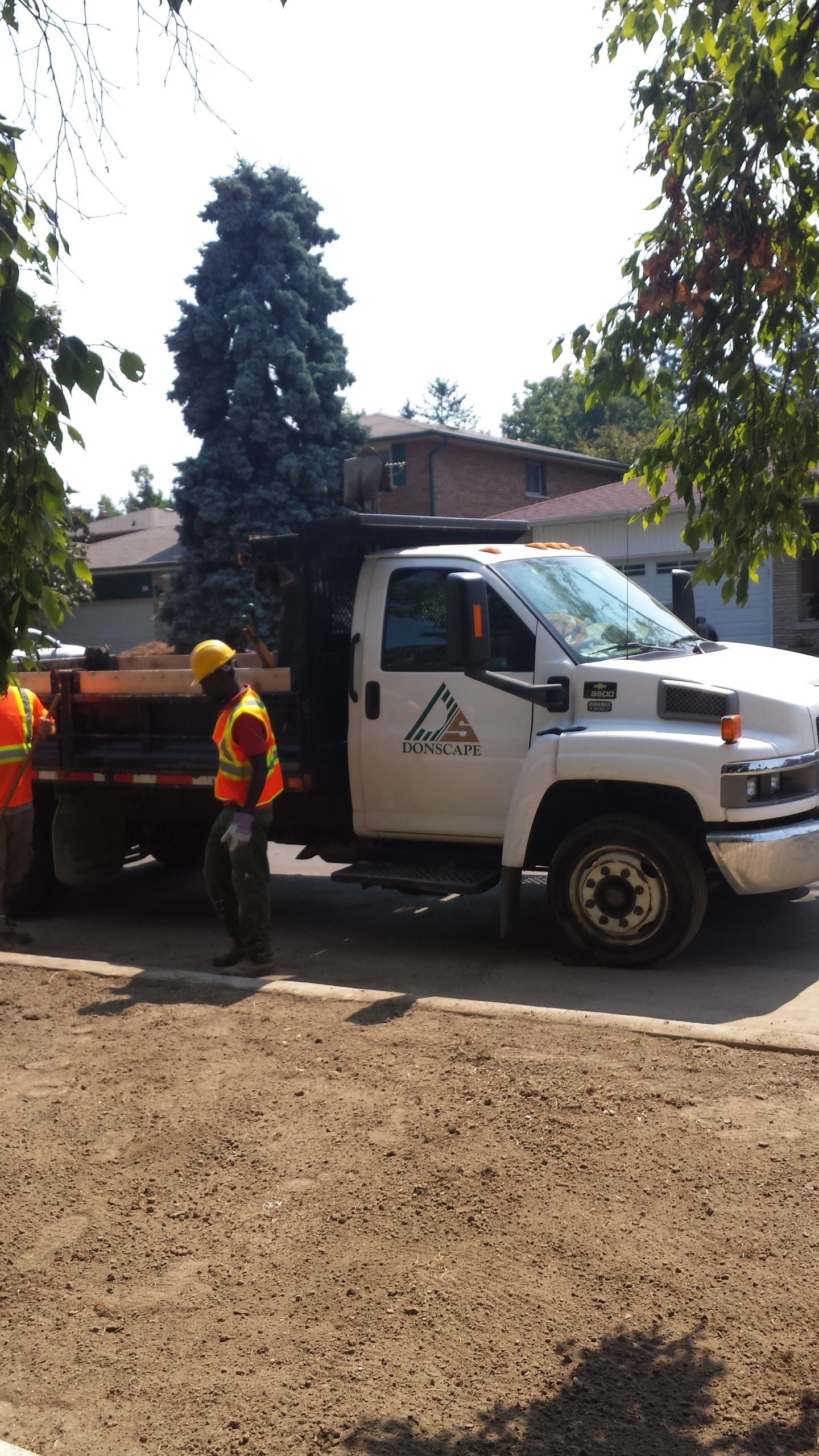 Tree removal crew with truck