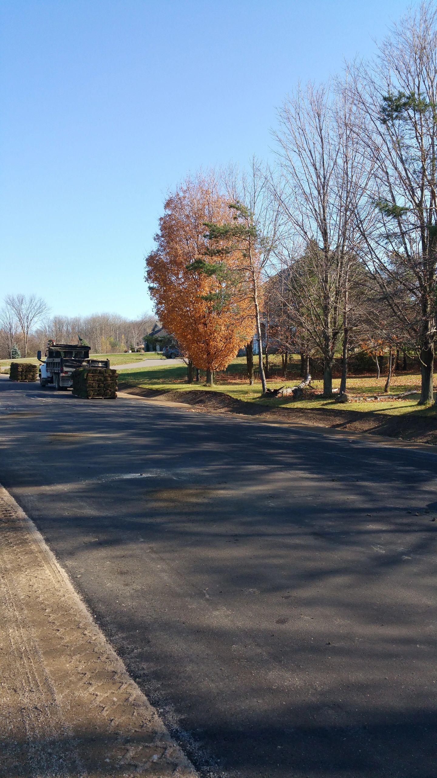 Rural driveway with fall landscape