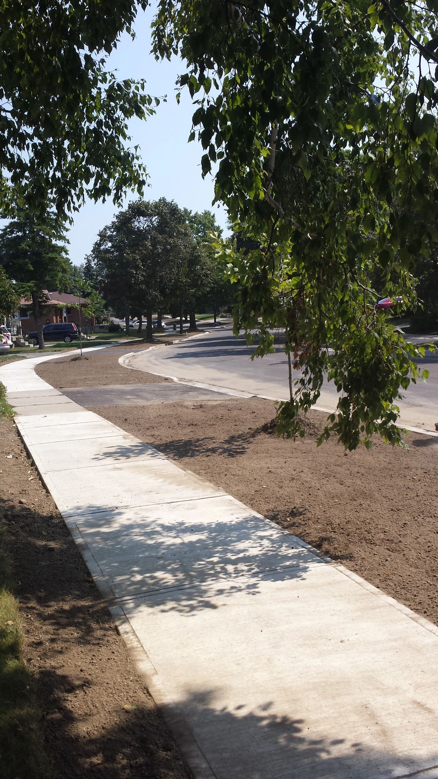 Urban park with tree-lined sidewalk